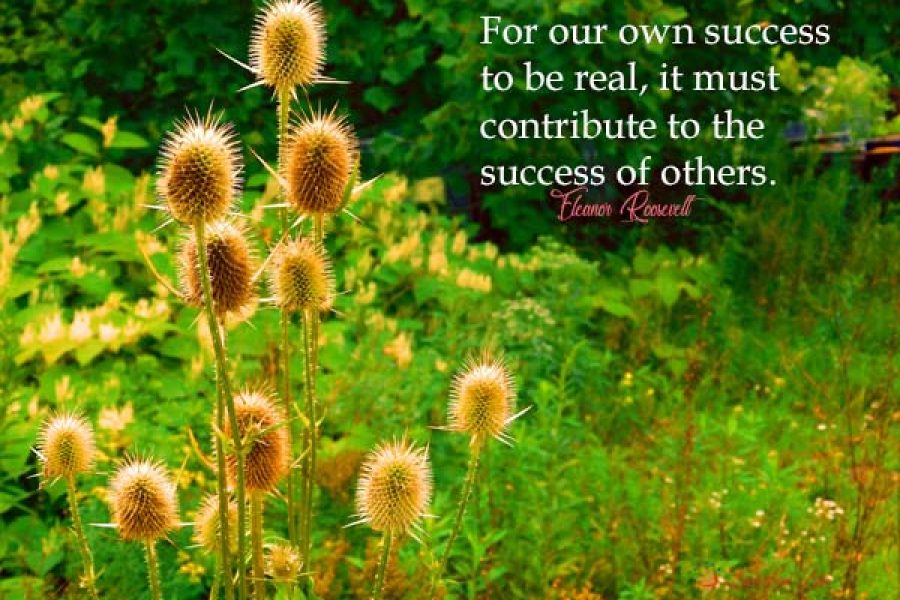 Generous Success